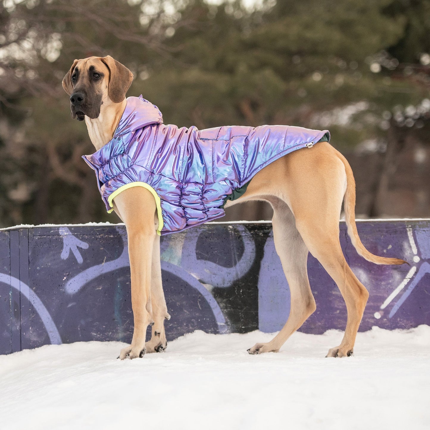 Dog Parka – Recycled Polyester Iridescent