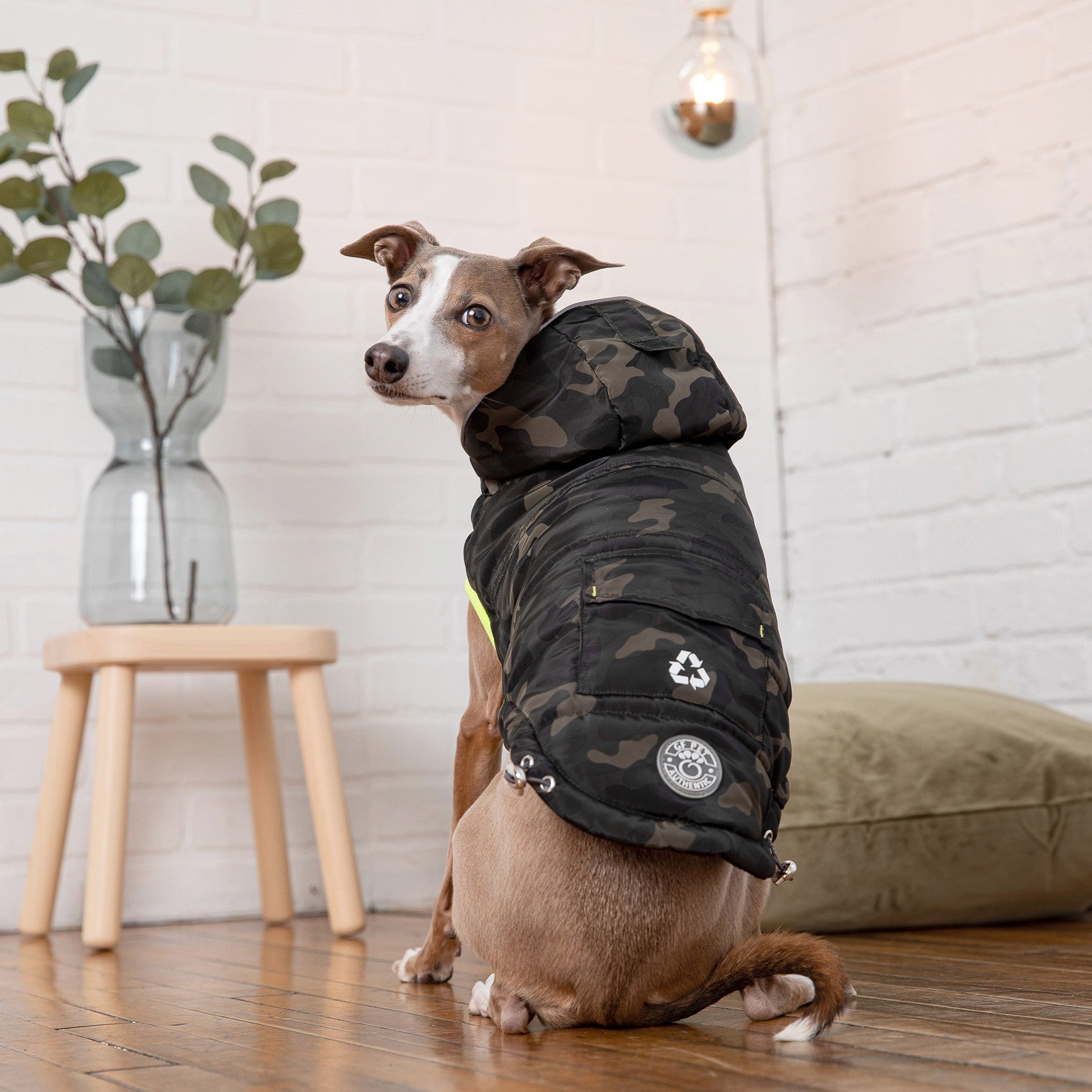 Dog wearing GF Pet camouflage recycled parka with neon yellow zipper and recycled polyester badge in lifestyle home setting