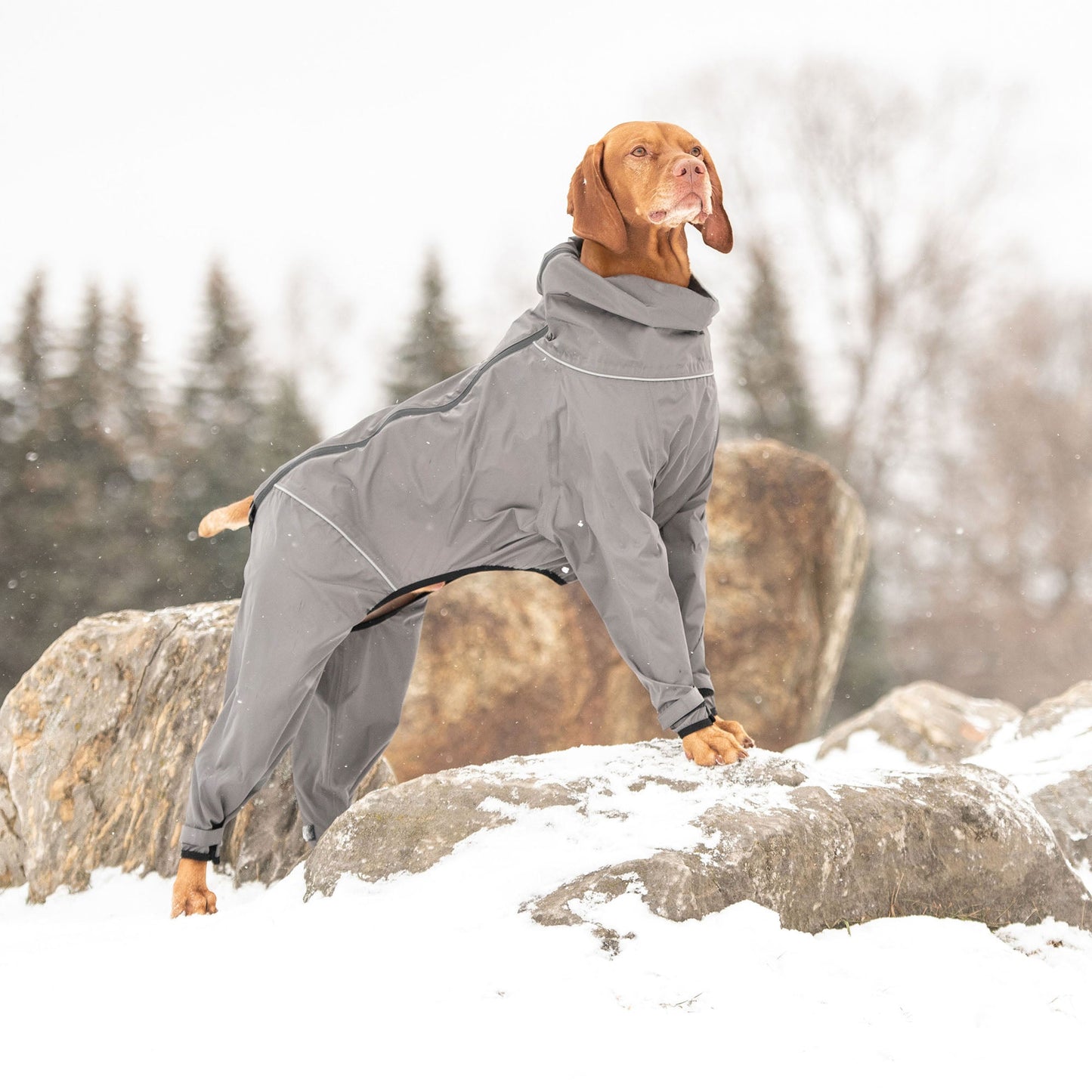 Dog Coverall – Splash Suit Full Body Waterproof