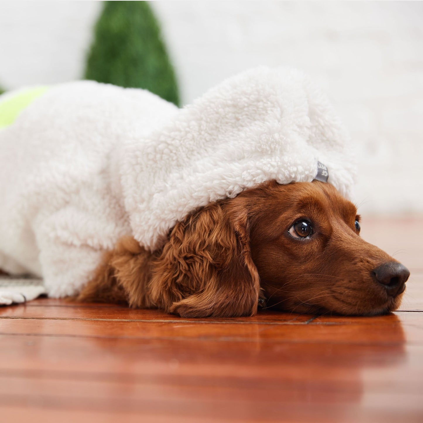 Dog Hoodie – Cozy Ultra-Soft Sherpa Fleece White
