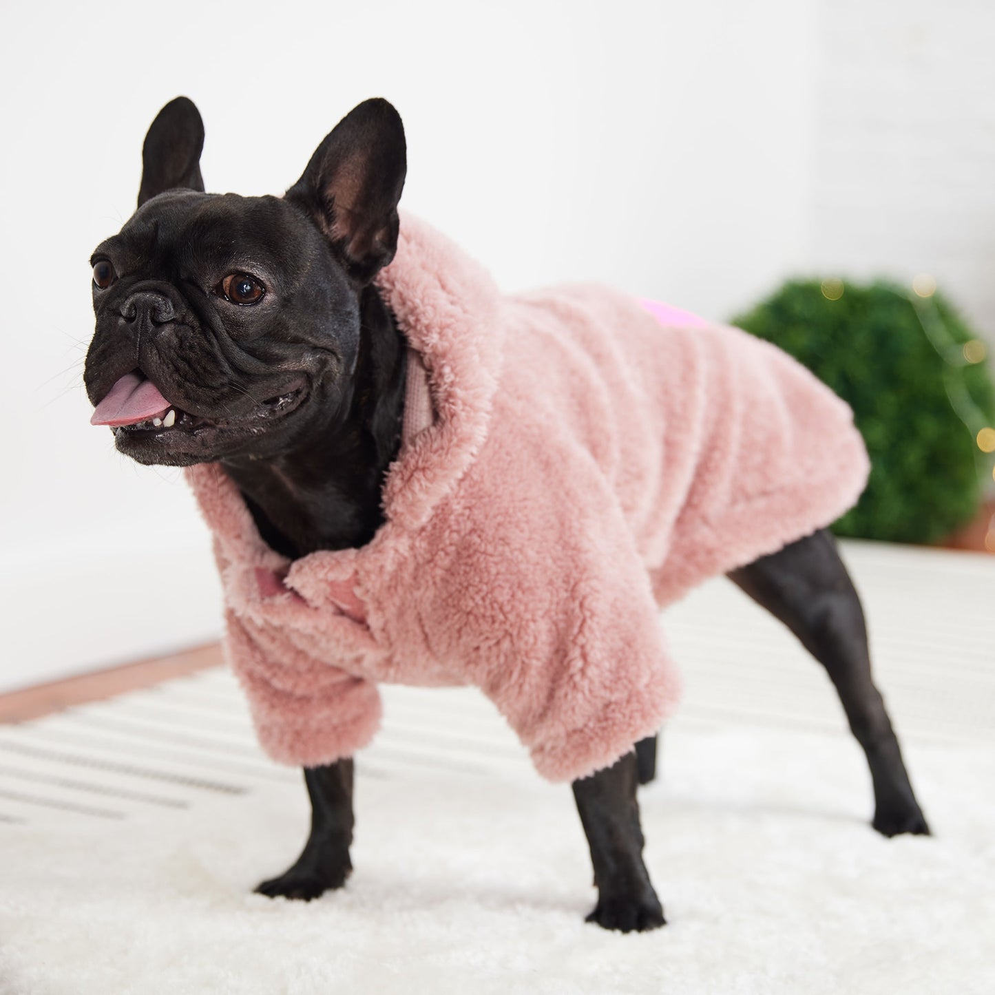 Cozy Dog Hoodie – Pink | Sherpa Fleece