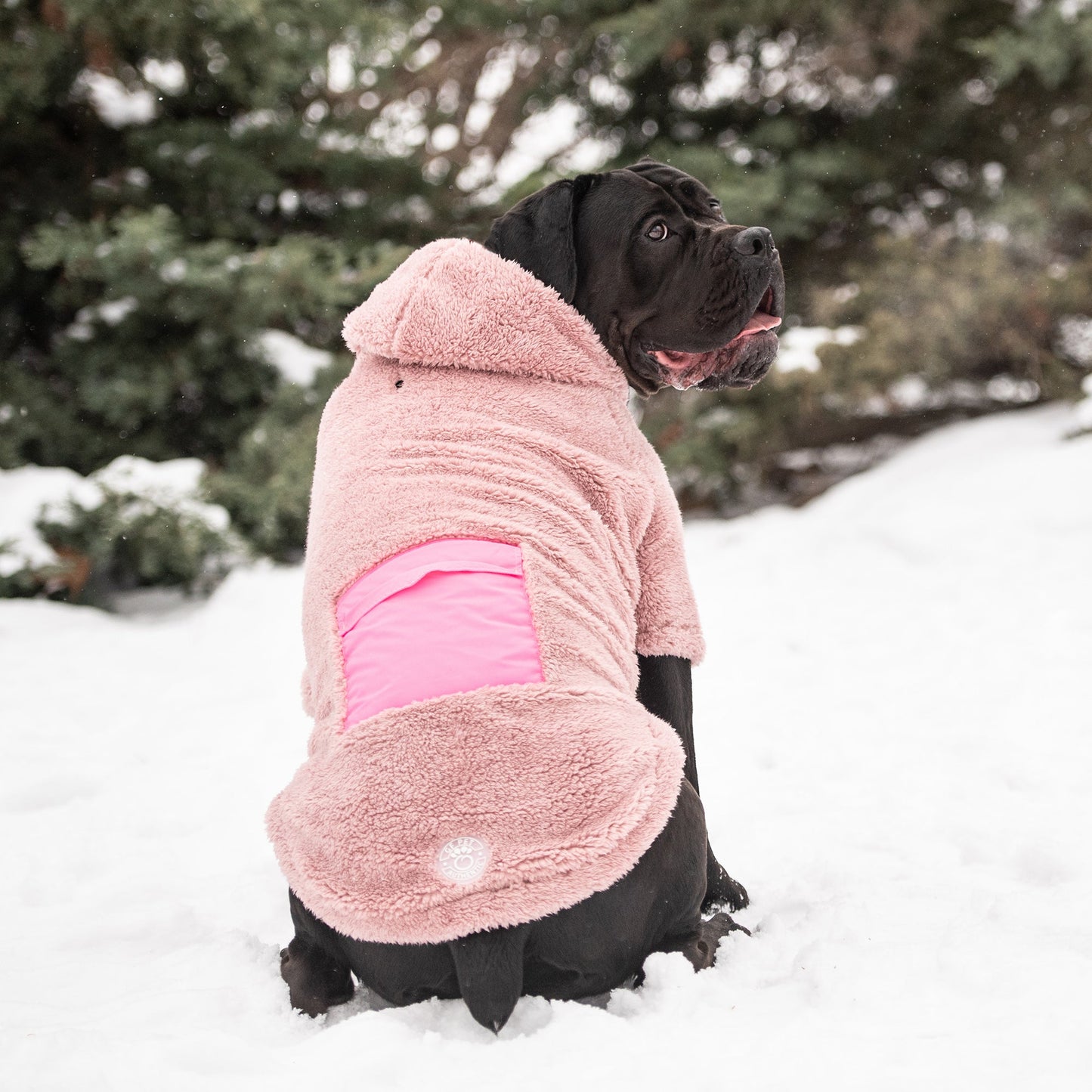 Cozy Dog Hoodie – Pink | Sherpa Fleece