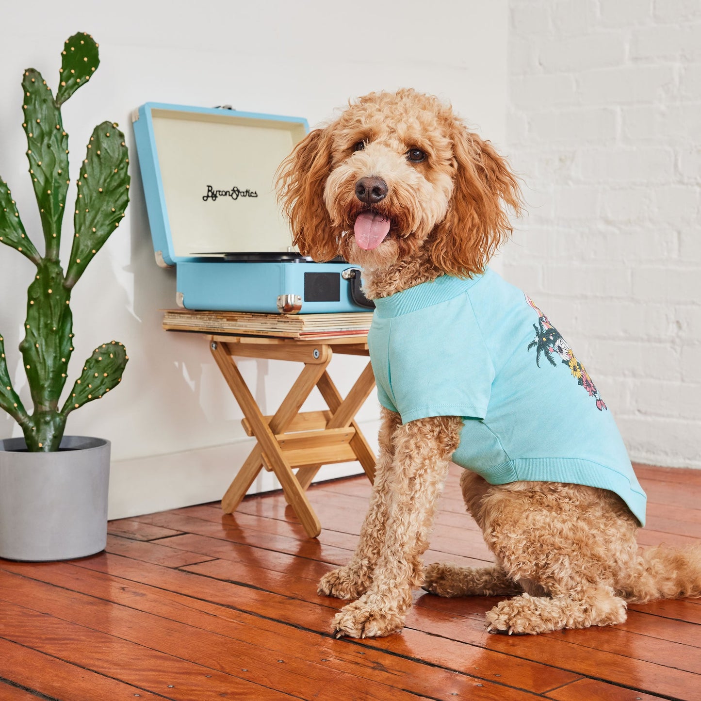 Dog Tee – Graphic Vintage Sporty Print