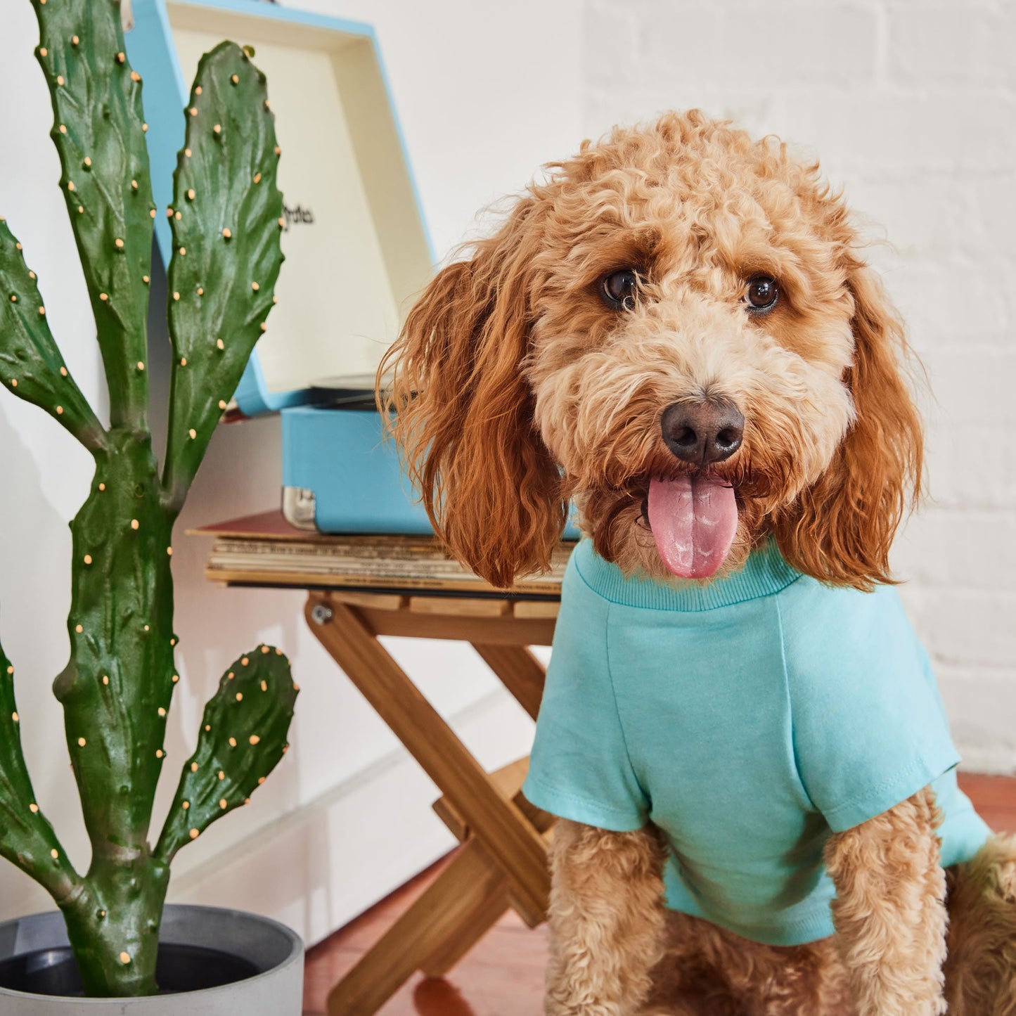 Dog Tee – Graphic Vintage Sporty Print