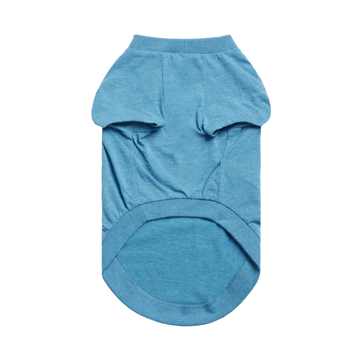 Graphic Dog Tee – Vintage Sporty Print, Raglan Sleeves, Blue