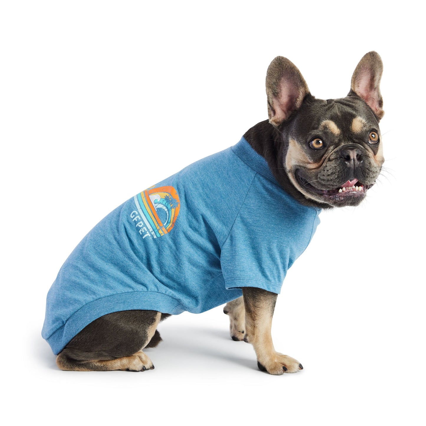 Graphic Dog Tee – Vintage Sporty Print, Raglan Sleeves, Blue
