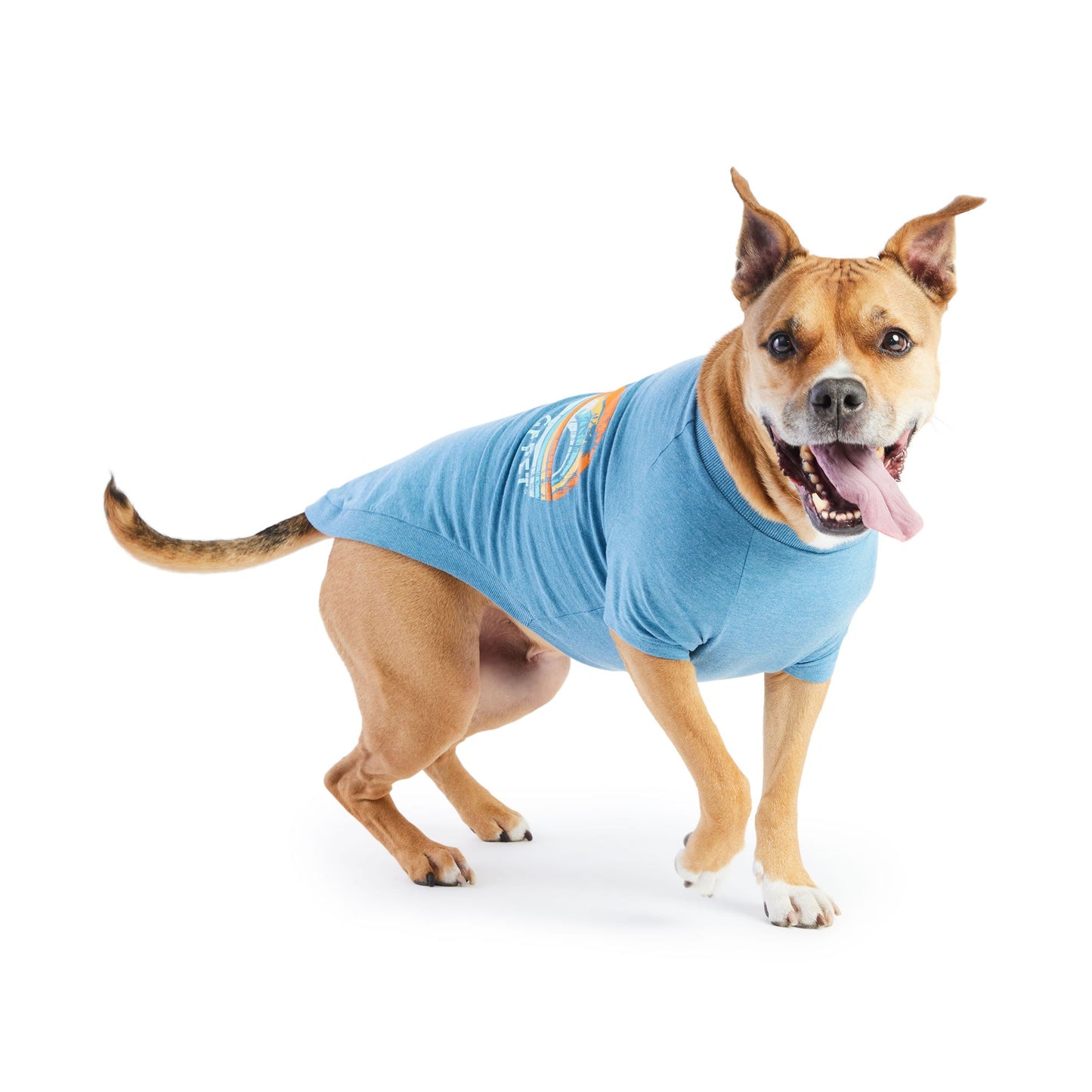 Graphic Dog Tee – Vintage Sporty Print, Raglan Sleeves, Blue