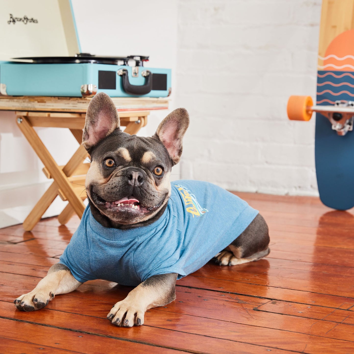 Graphic Dog Tee – Vintage Sporty Print, Raglan Sleeves, Blue