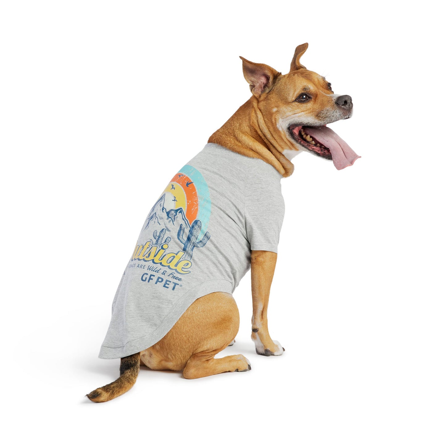 Dog Graphic Tee – Vintage Sporty Style, Grey
