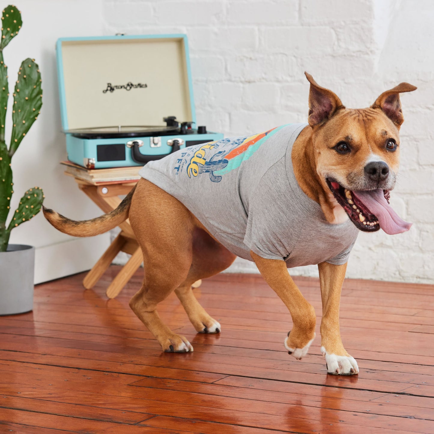 Dog Graphic Tee – Vintage Sporty Style, Grey