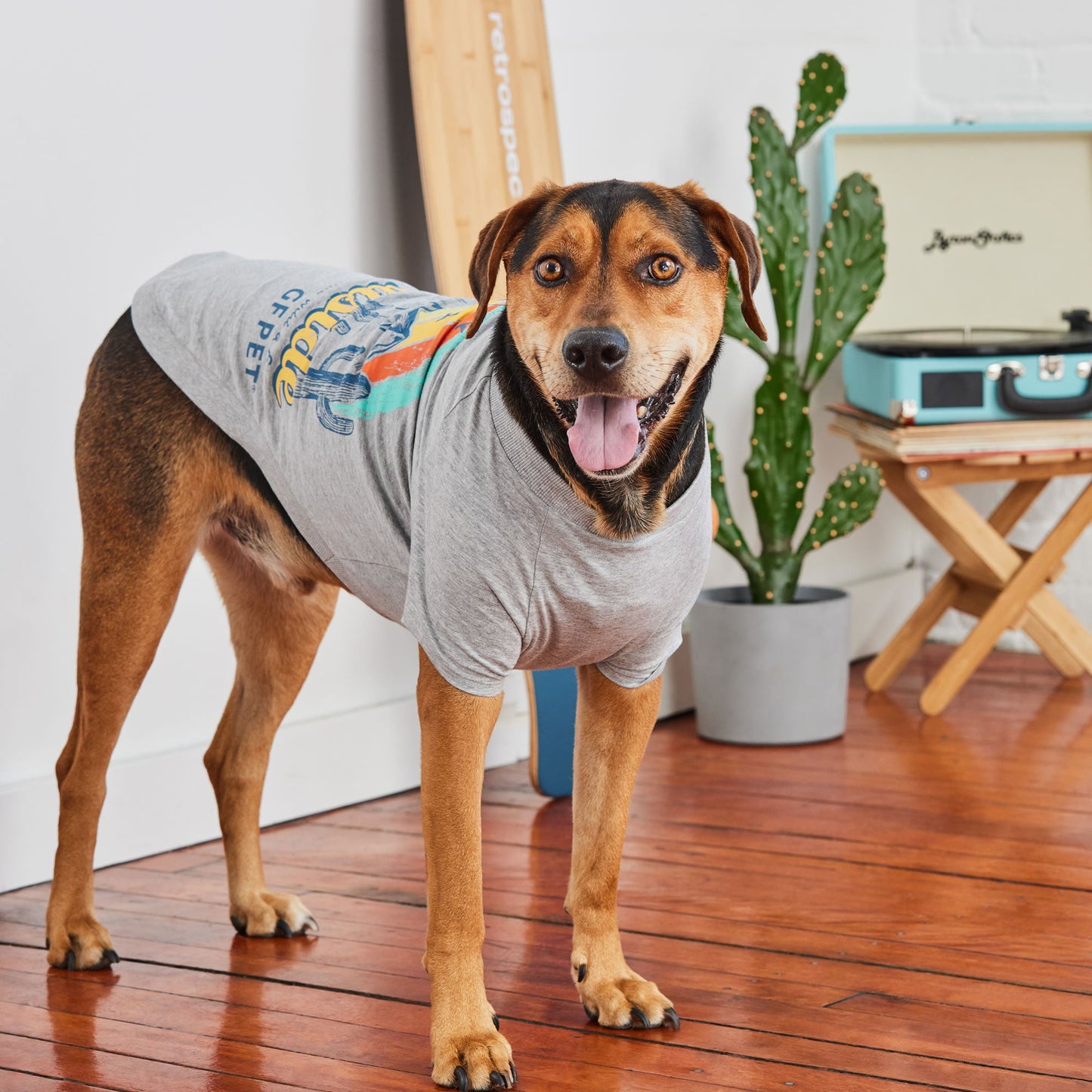 Dog Graphic Tee – Vintage Sporty Style, Grey