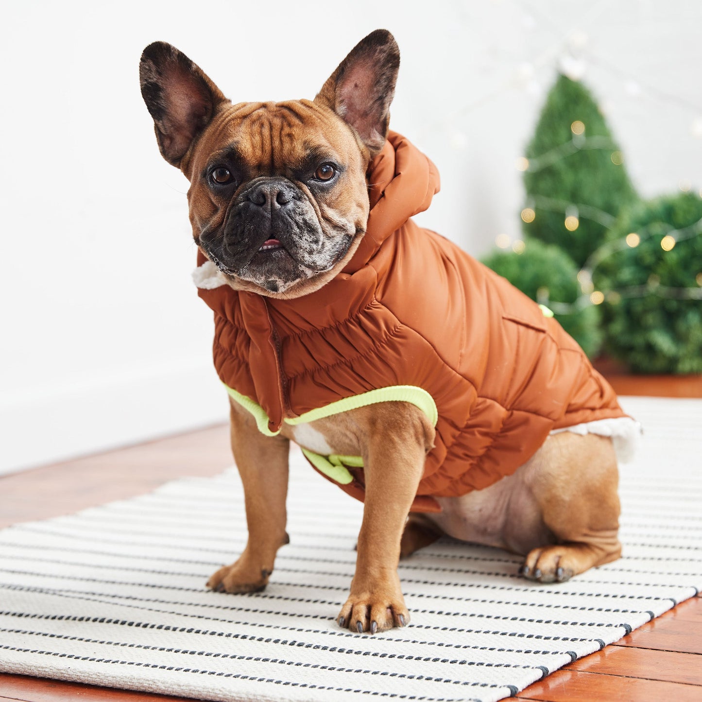 Puff Parka for Dogs – Hazel | Insulated Winter Coat