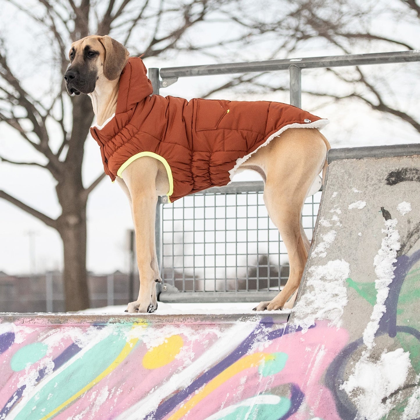 Puff Parka for Dogs – Hazel | Insulated Winter Coat