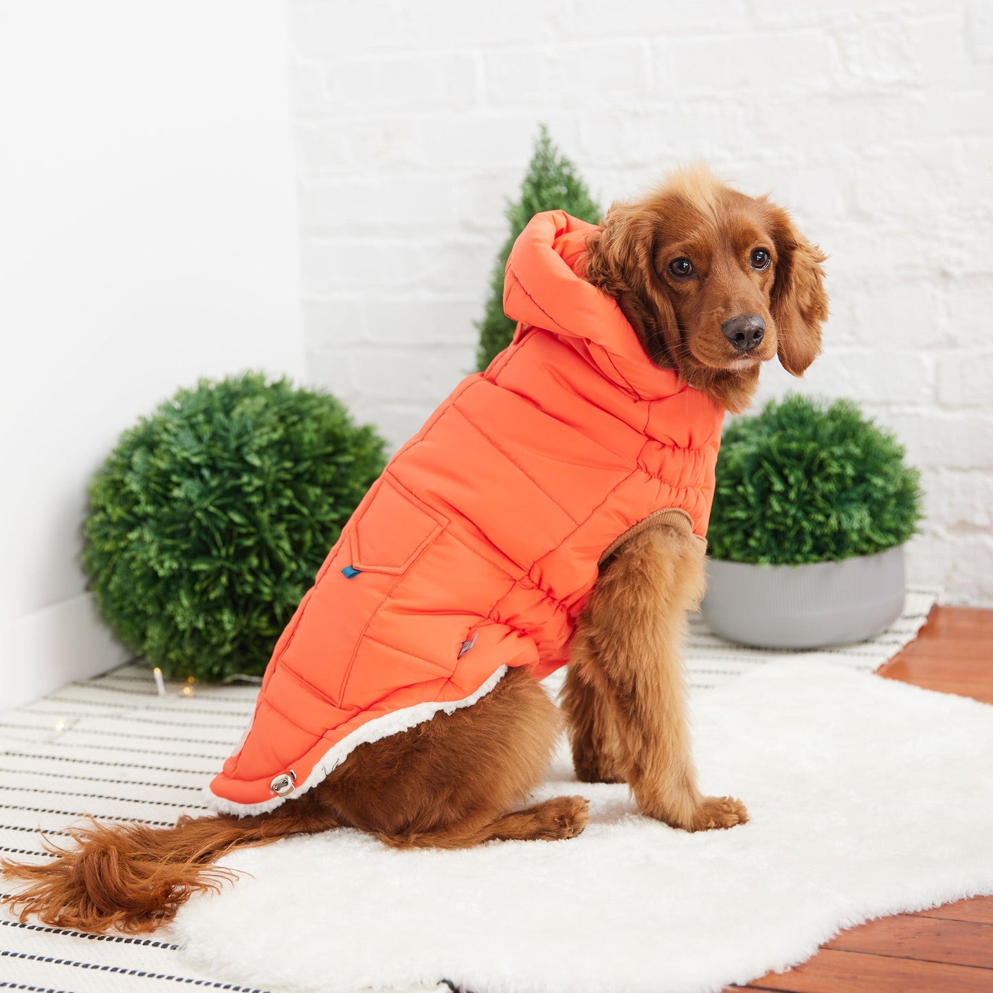 Puff Parka for Dogs – Orange | Insulated Winter Coat