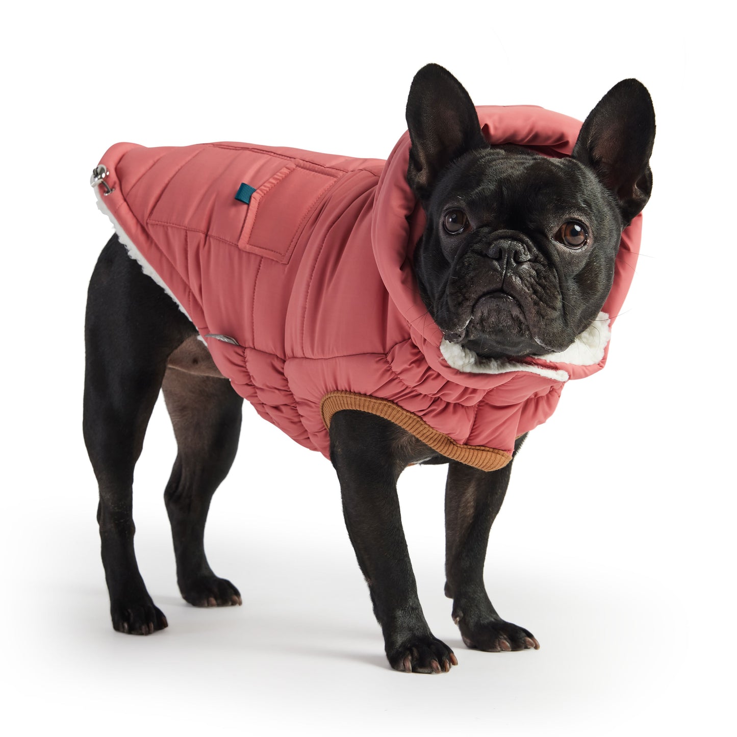 Puff Parka for Dogs – Pink | Insulated Winter Coat