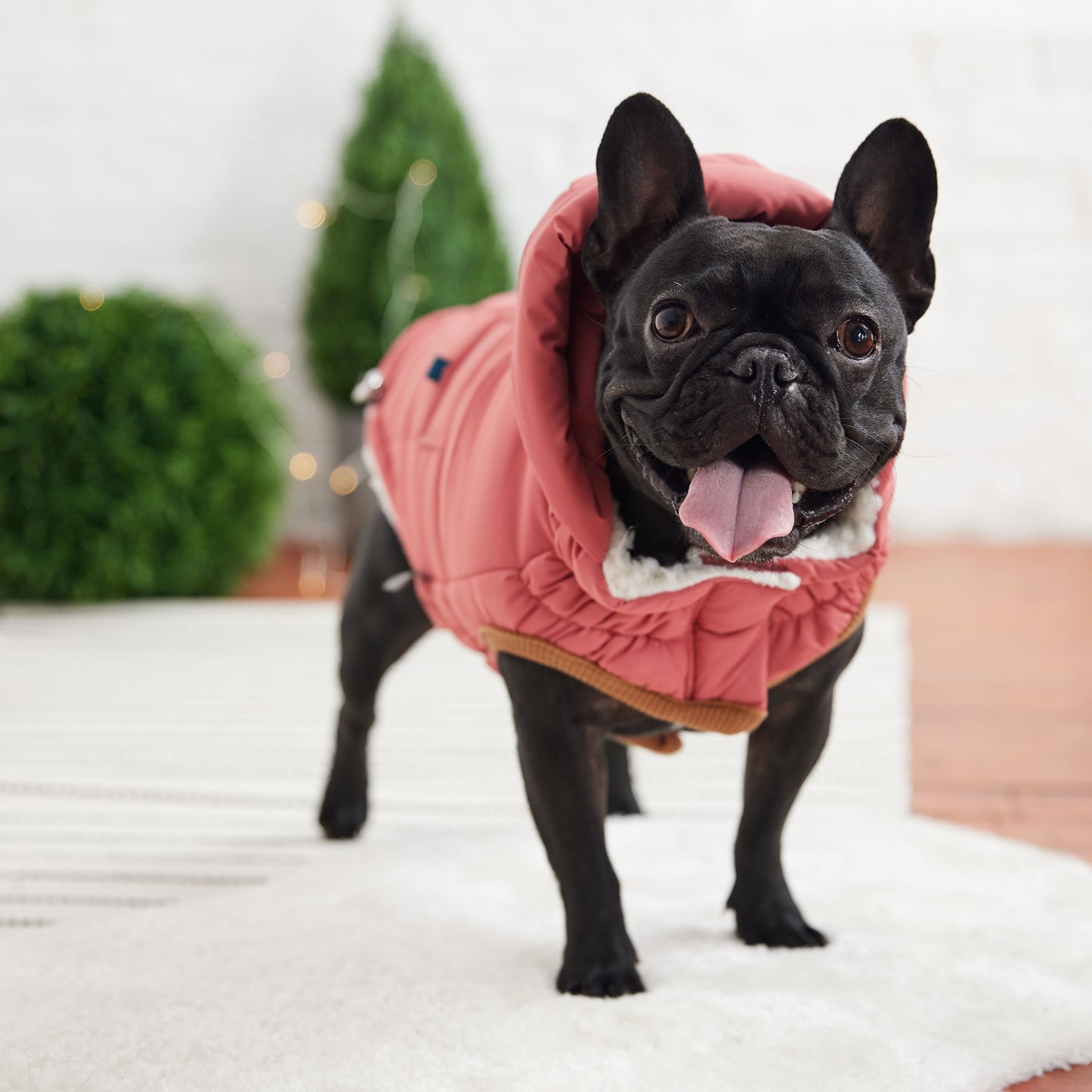 Puff Parka for Dogs – Pink | Insulated Winter Coat