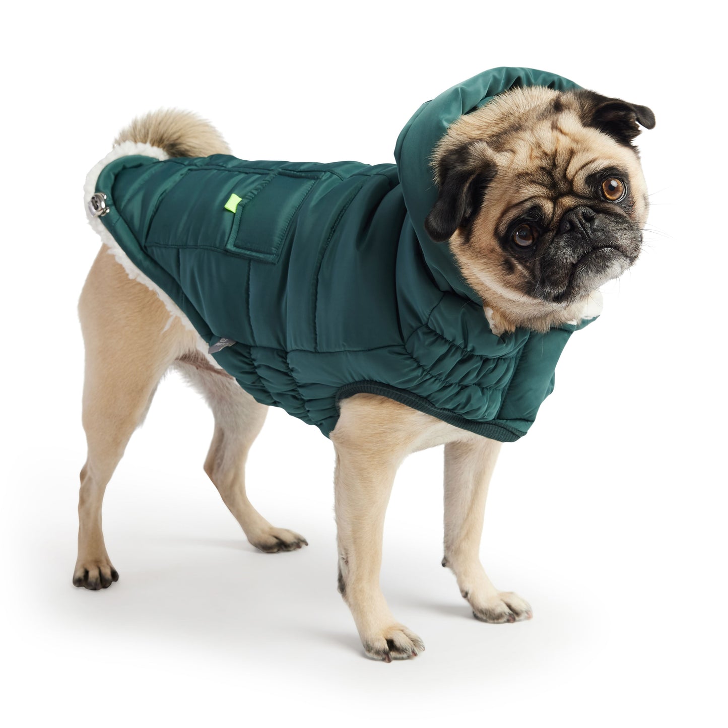 Puff Parka for Dogs – Teal | Insulated Winter Coat