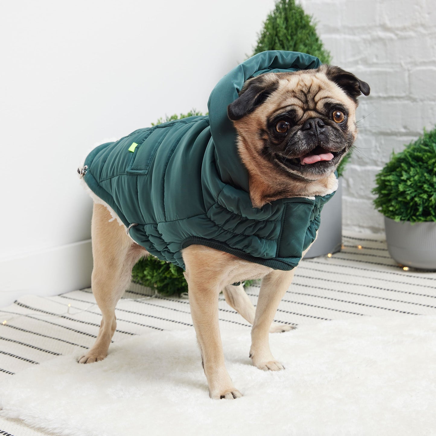 Puff Parka for Dogs – Teal | Insulated Winter Coat