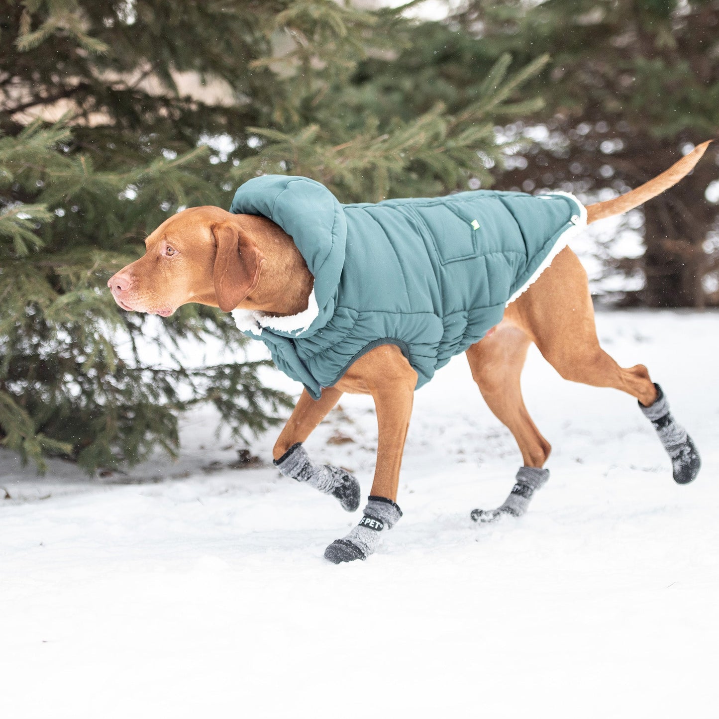 Puff Parka for Dogs – Teal | Insulated Winter Coat