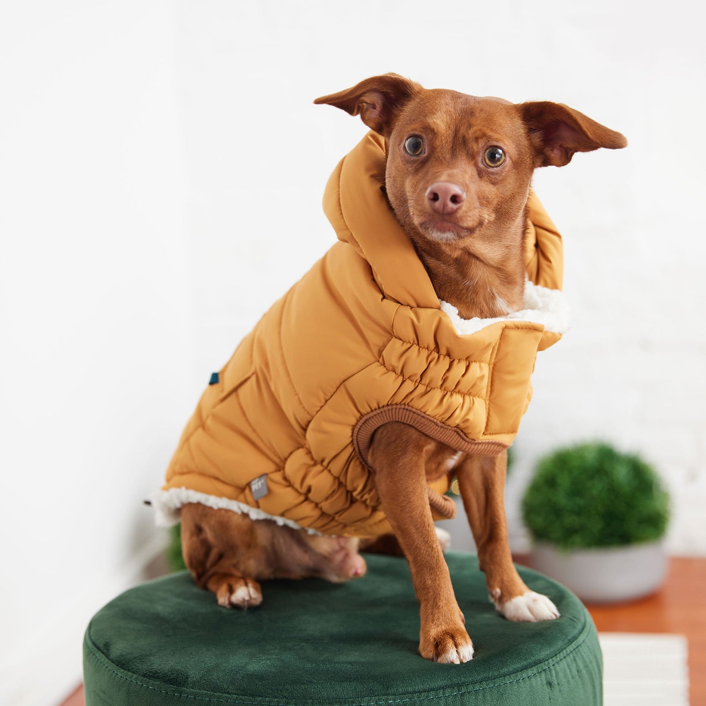 Dog Jacket – Puff Parka Ultra Puffy Sherpa