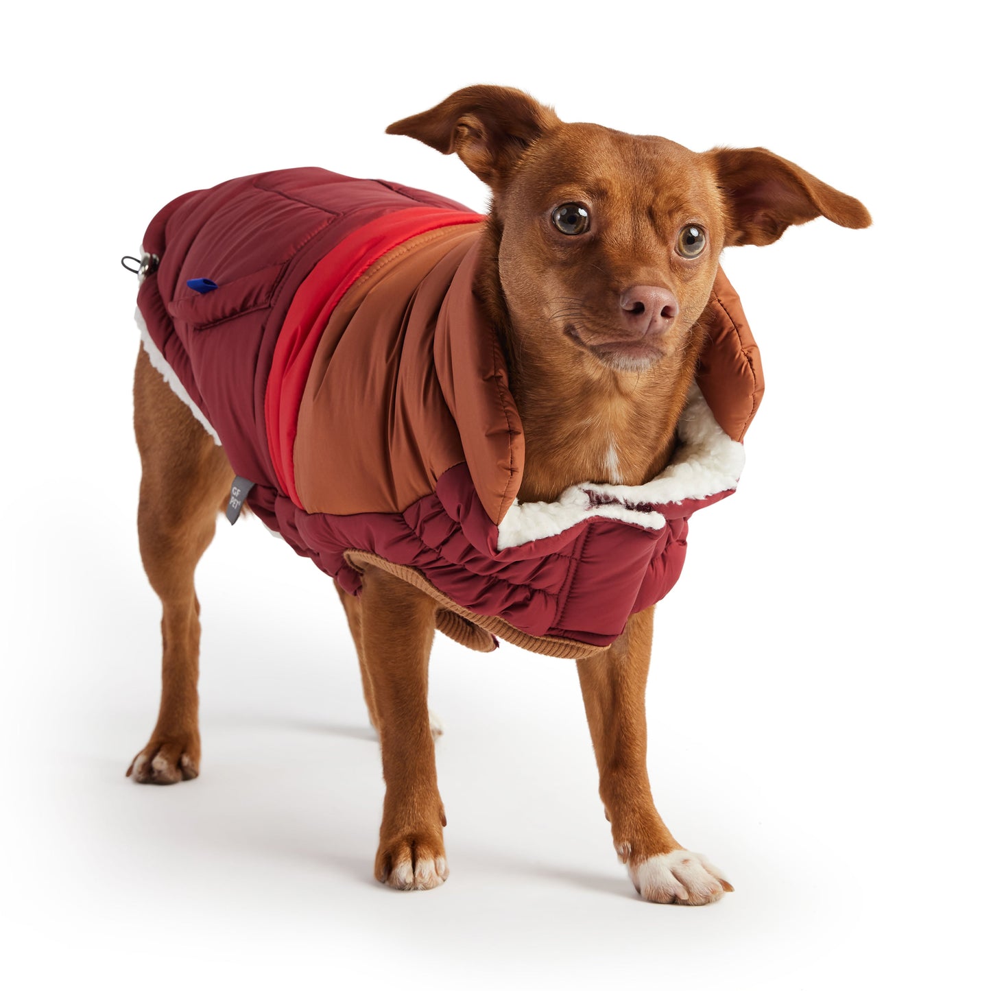 Retro Puffer Dog Jacket – Dark Red | Elasto-FIT