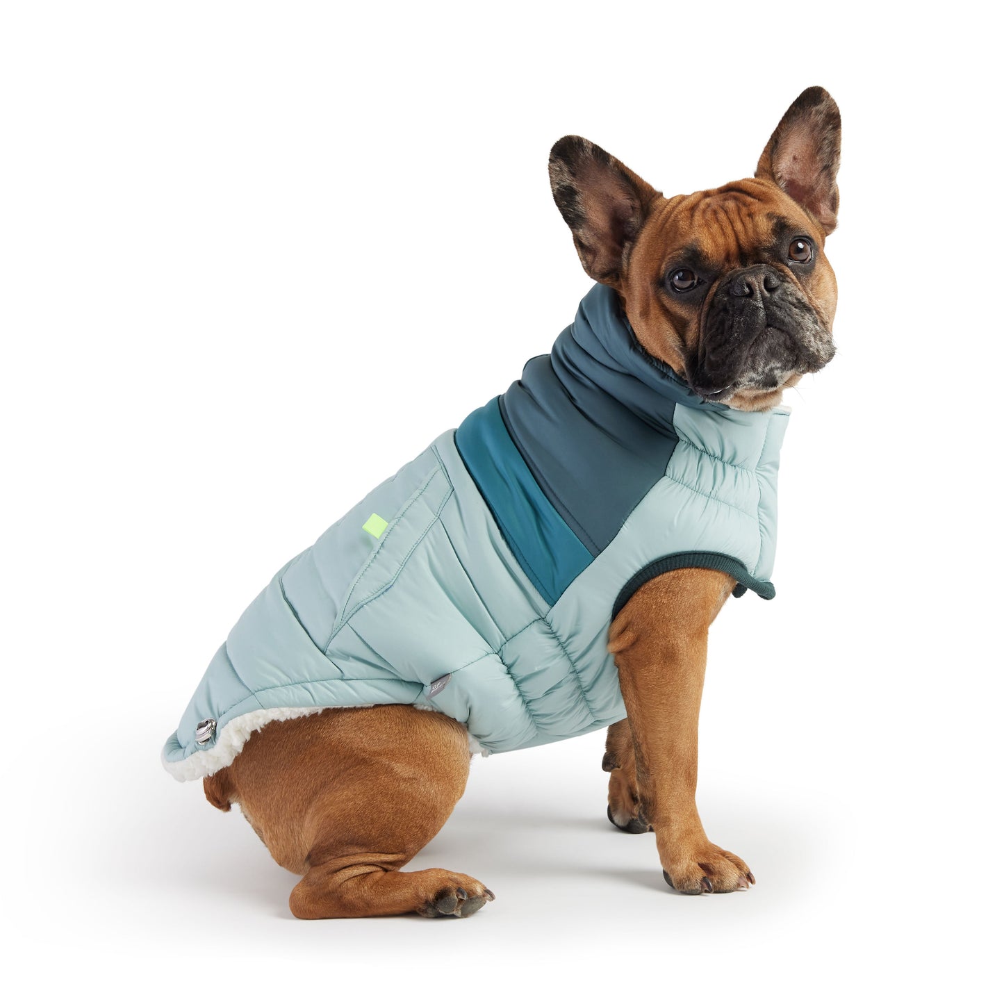 Retro Puffer Dog Jacket – Light Blue | Elasto-FIT