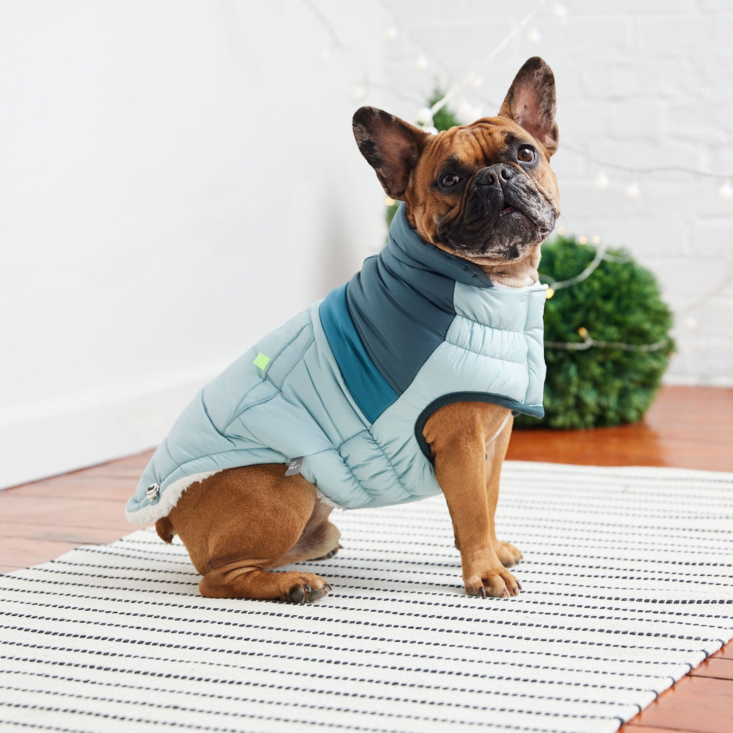Retro Puffer Dog Jacket – Light Blue | Elasto-FIT