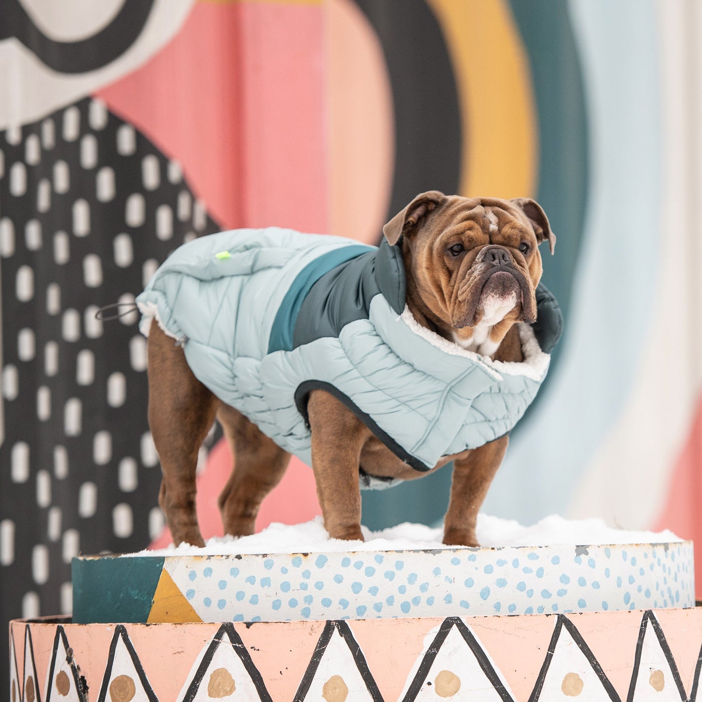 Retro Puffer Dog Jacket – Light Blue | Elasto-FIT