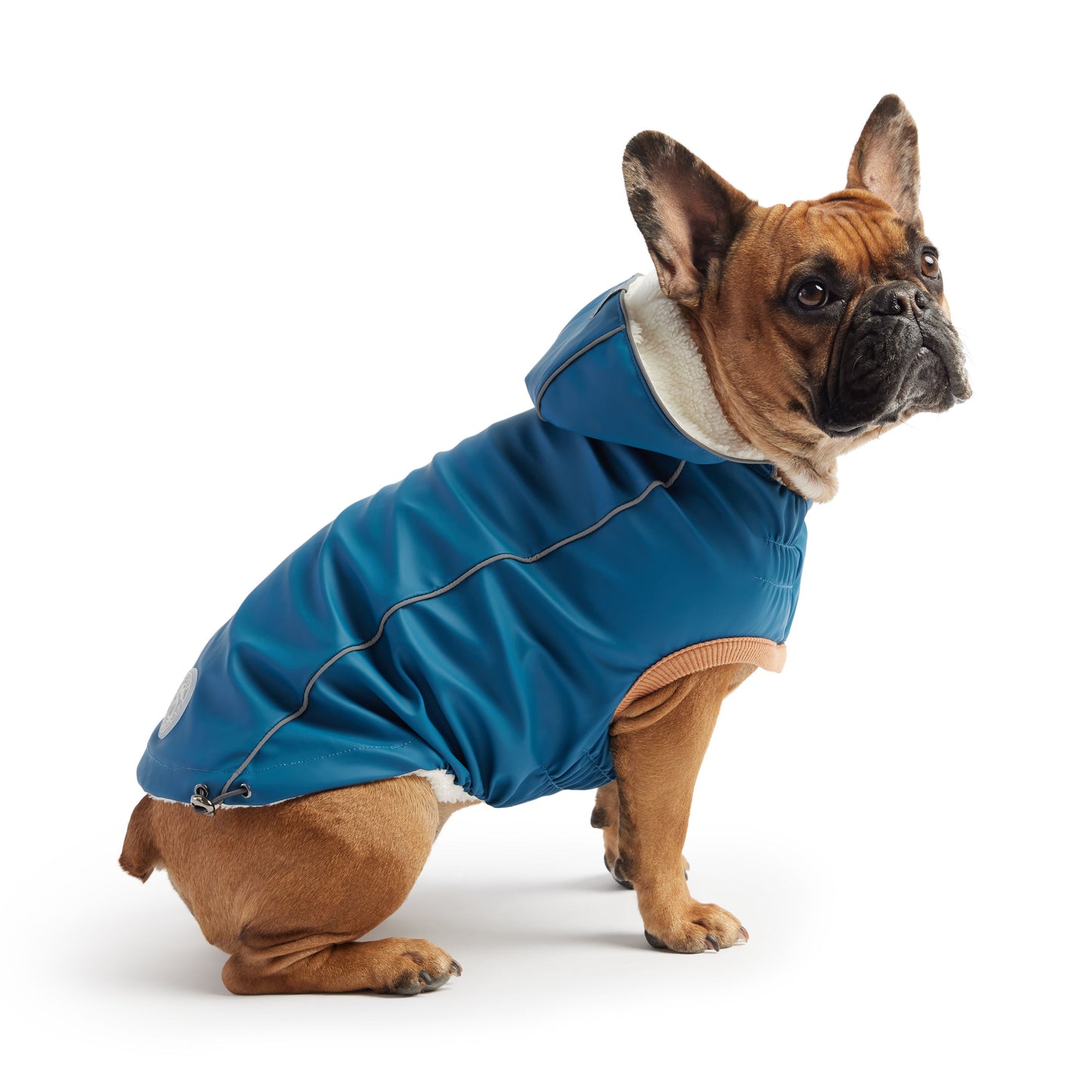 Dog Raincoat – Elasto-Fit Insulated Dark Blue