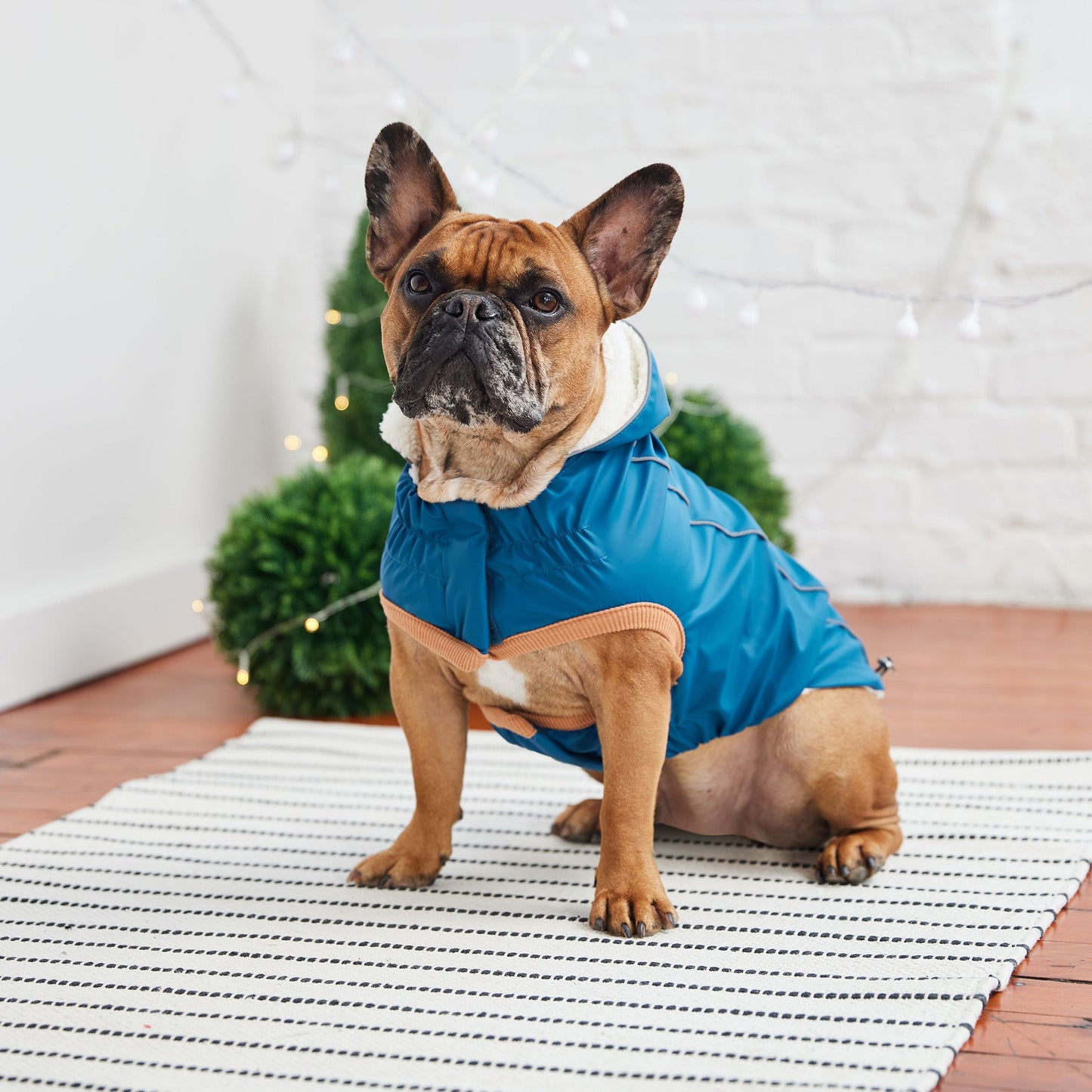 Dog Raincoat – Elasto-Fit Insulated Dark Blue