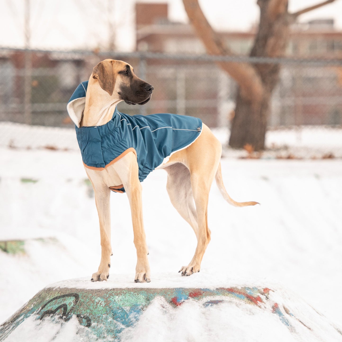 Dog Raincoat – Elasto-Fit Insulated Dark Blue