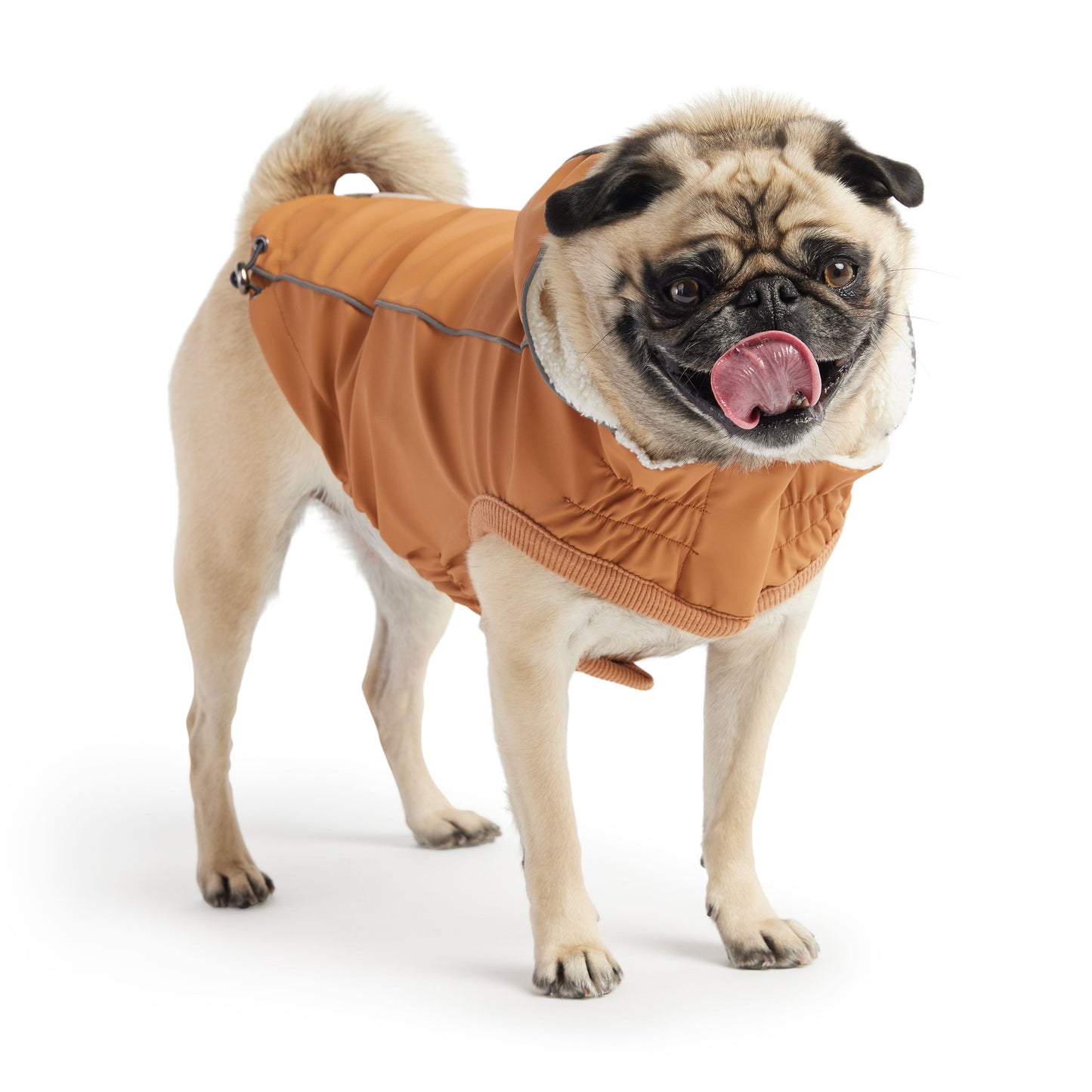 Dog Raincoat – Elasto-Fit Insulated Hazel