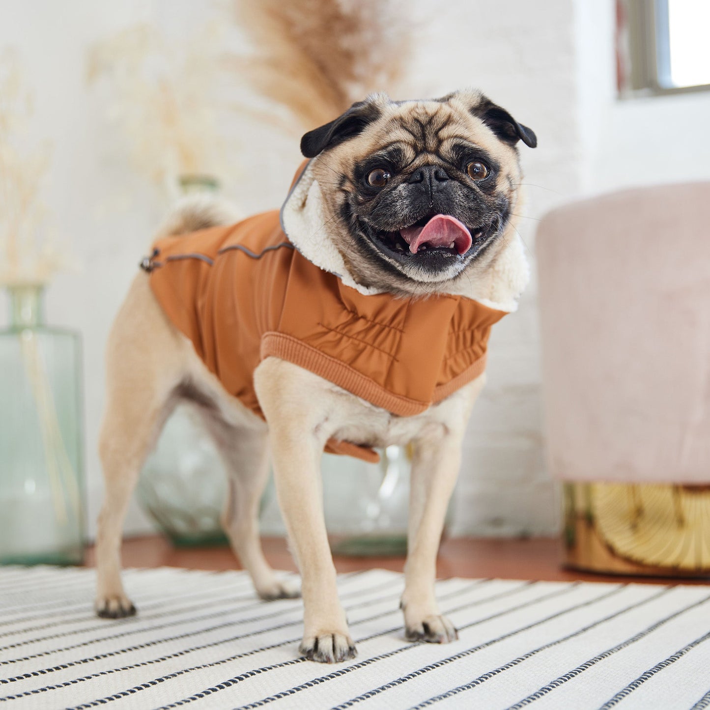 Dog Raincoat – Elasto-Fit Insulated Hazel