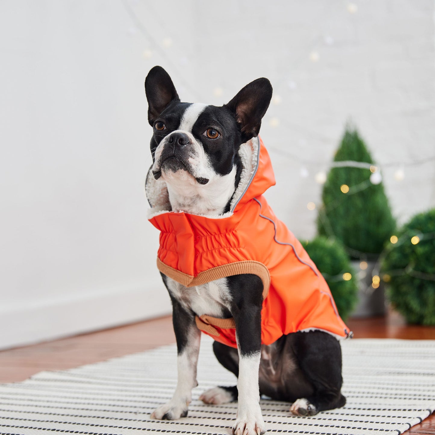 Elasto-Fit Insulated Dog Raincoat – Waterproof with Sherpa Lining, Orange