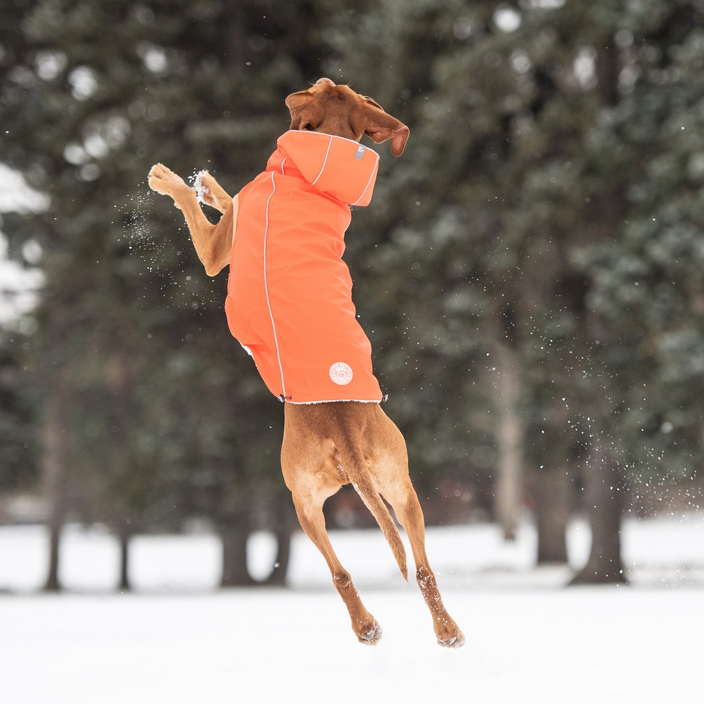 Elasto-Fit Insulated Dog Raincoat – Waterproof with Sherpa Lining, Orange