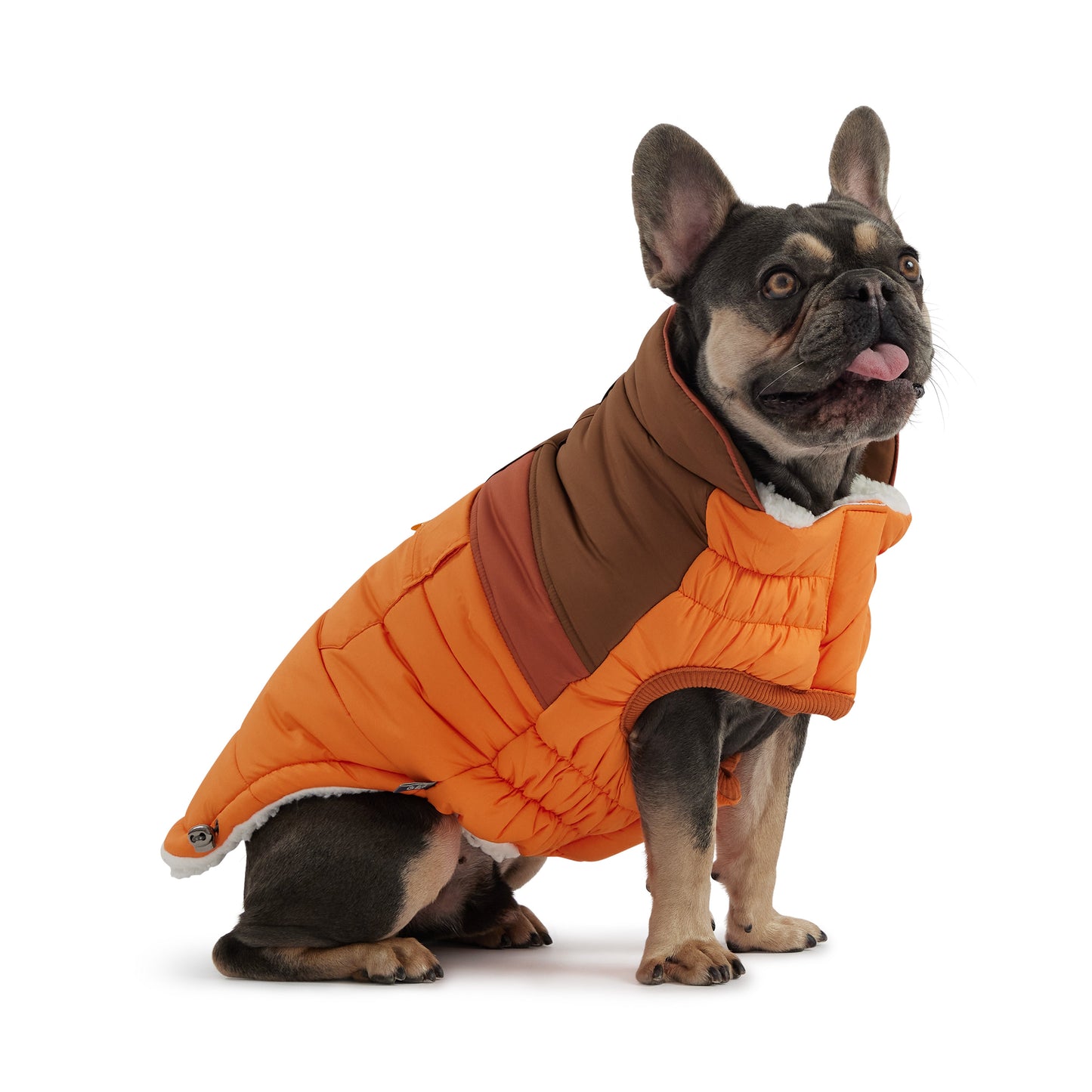 Dog Jacket – Camplife Puffer Color Block