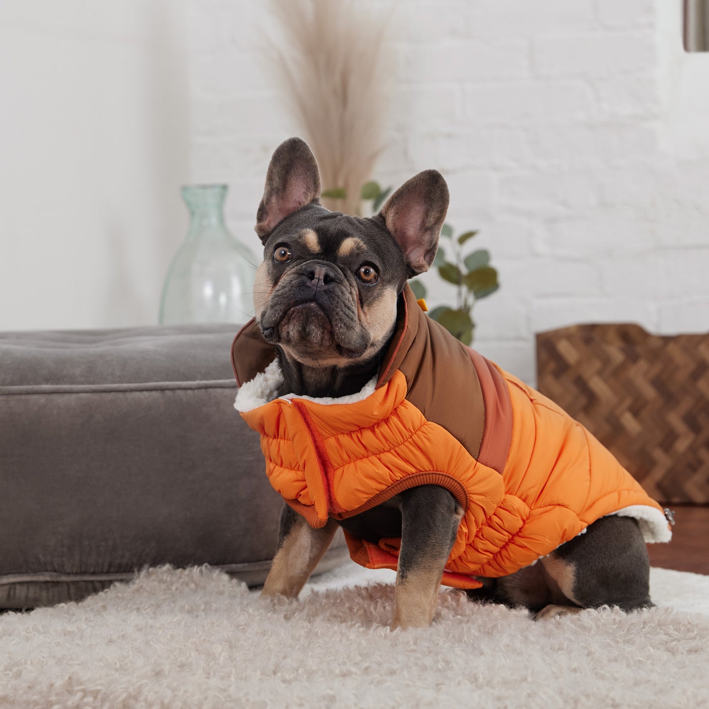 Dog Jacket – Camplife Puffer Color Block