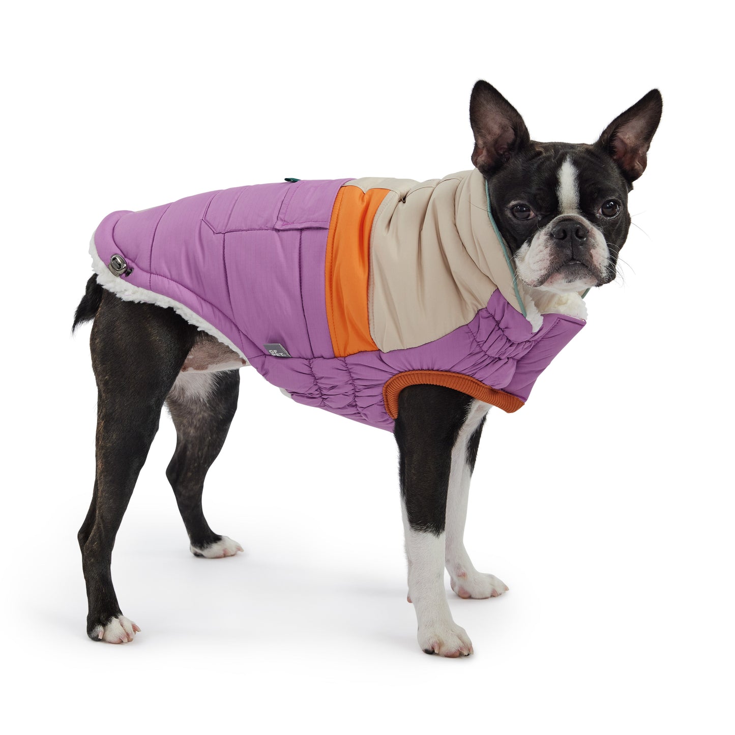 Dog Jacket – Camplife Puffer Sherpa Purple