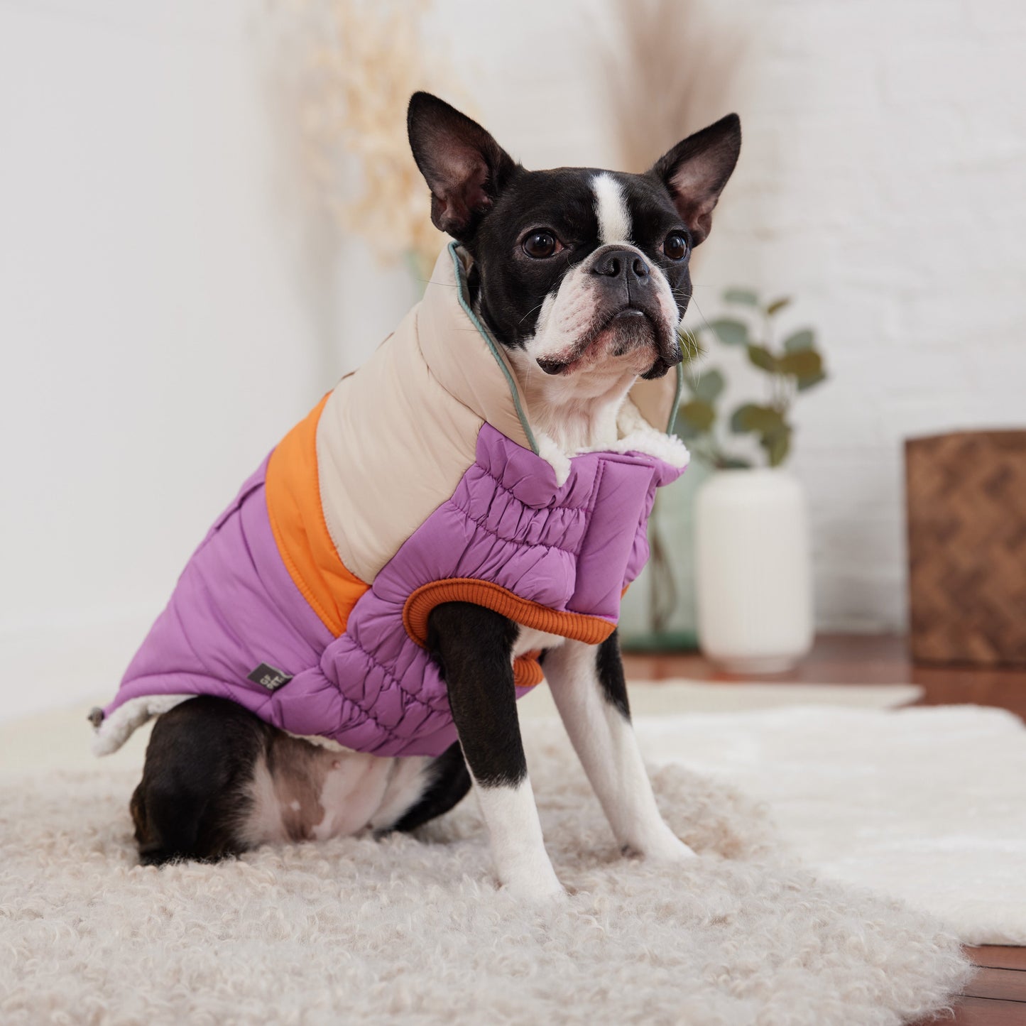 Dog Jacket – Camplife Puffer Sherpa Purple