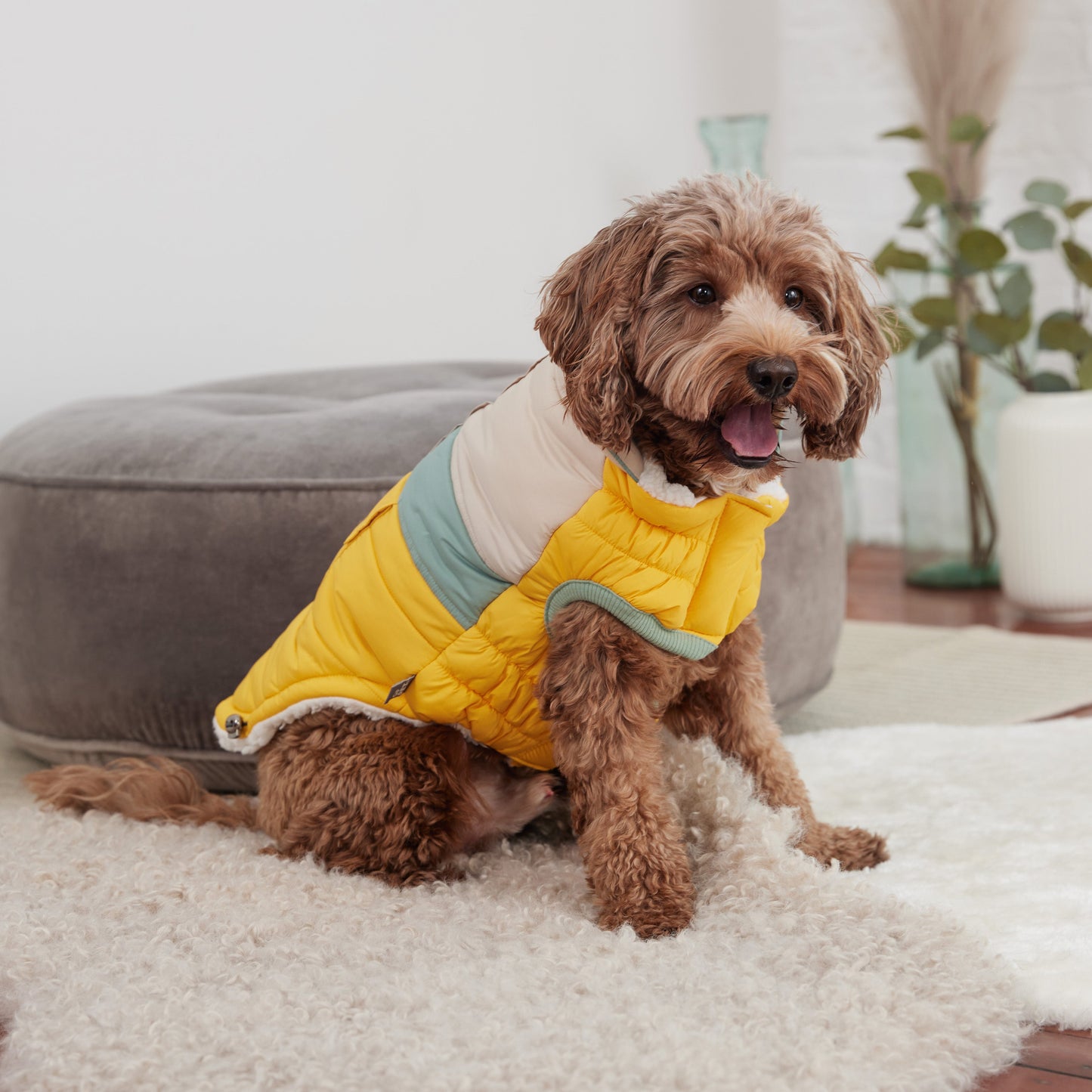 Dog Jacket – Camplife Puffer Sherpa Yellow