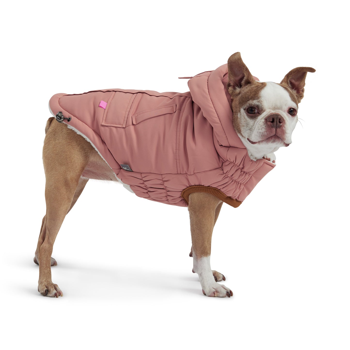 Dog Jacket – Arctic Parka Ultra Puff Clay