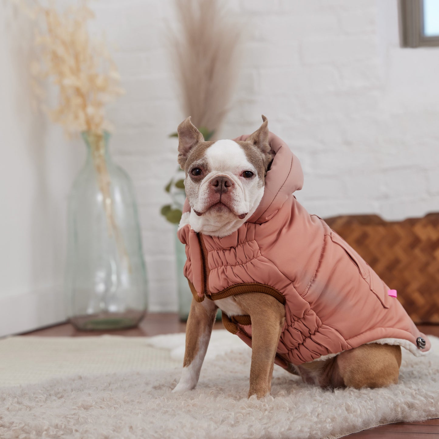 Dog Jacket – Arctic Parka Ultra Puff Clay