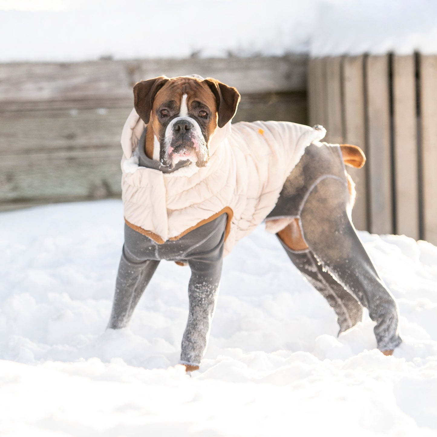 Dog Jacket – Arctic Parka Ultra Puff Sherpa