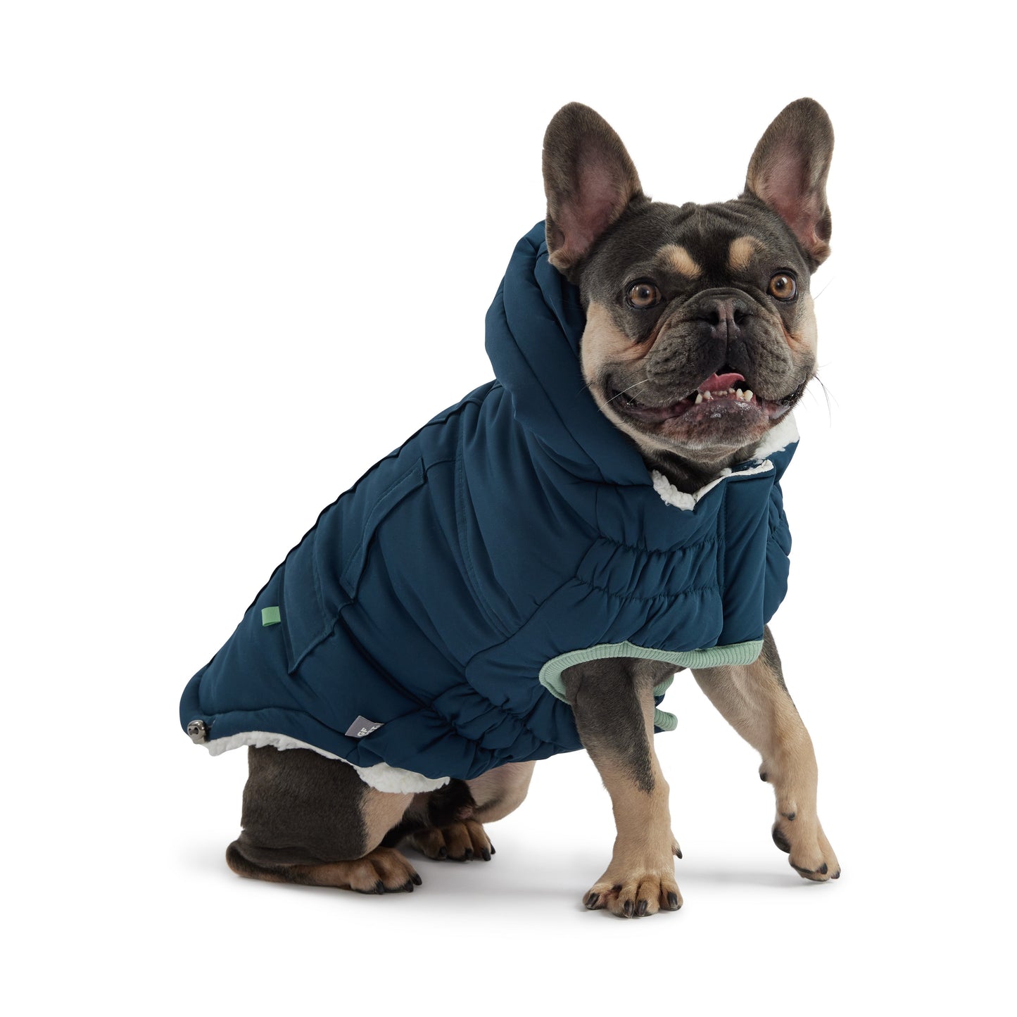 Arctic Dog Parka – Teal | Elasto-FIT Winter Jacket