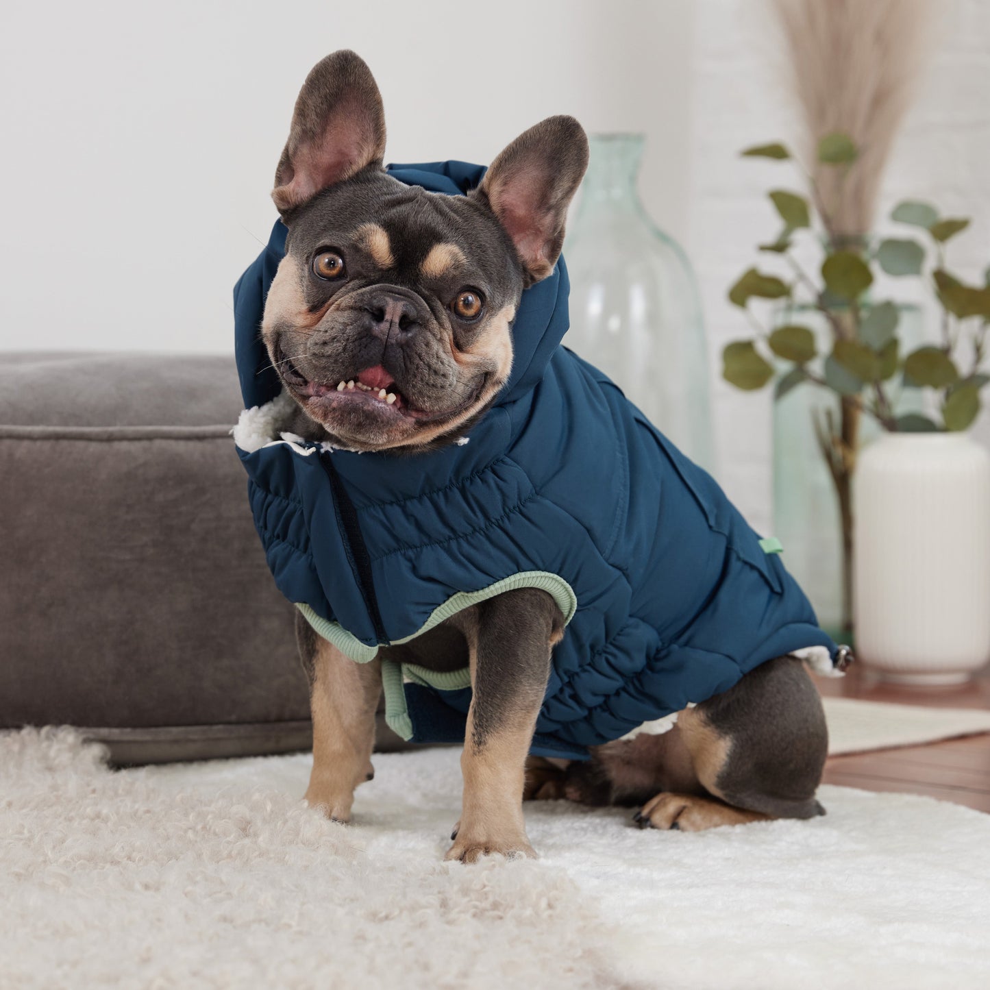 Arctic Dog Parka – Teal | Elasto-FIT Winter Jacket