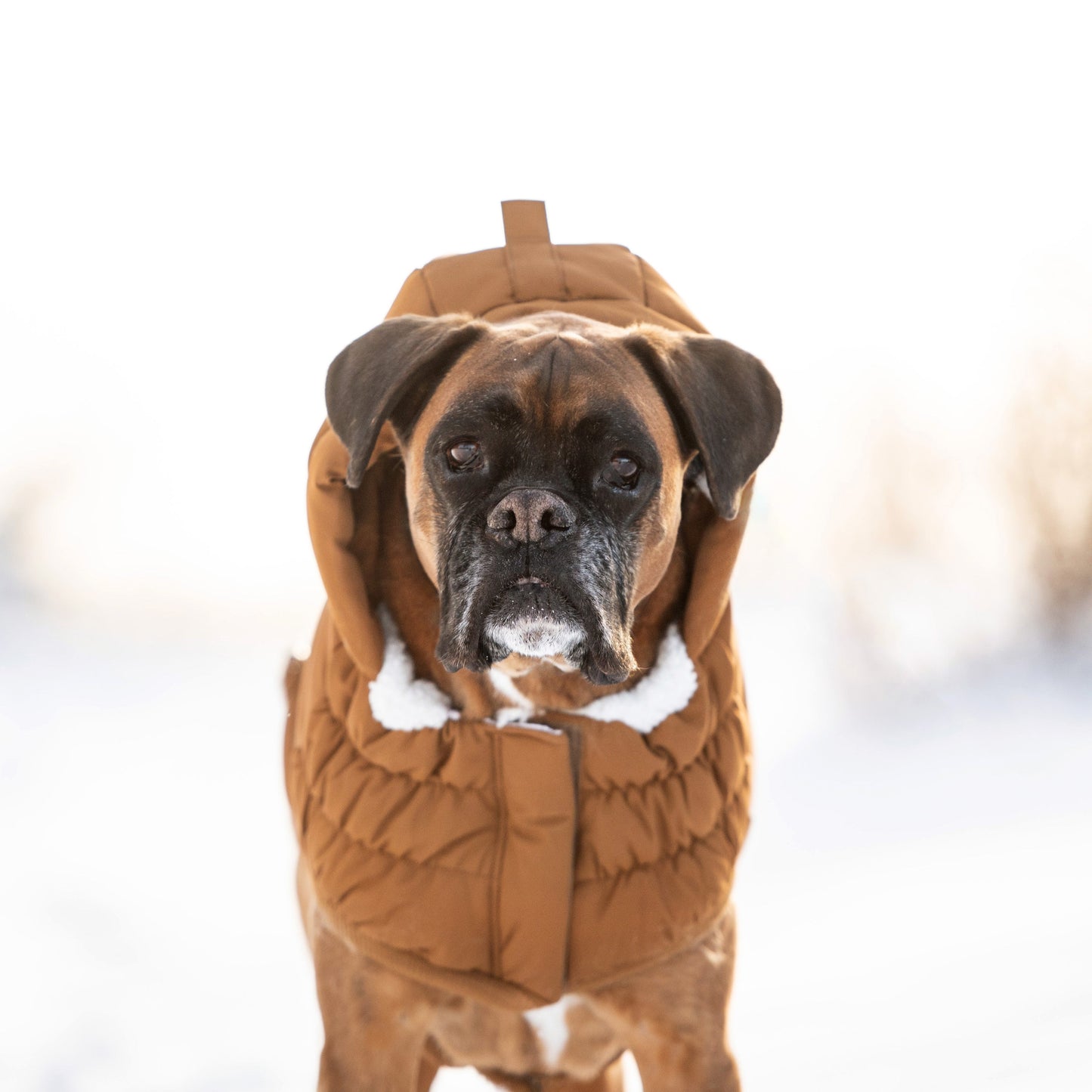 Arctic Dog Parka – Wood | Elasto-FIT Winter Jacket