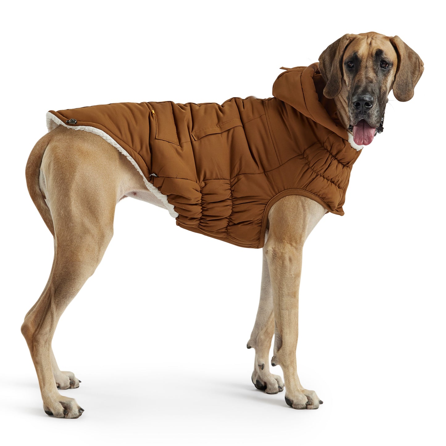 Arctic Dog Parka – Wood | Elasto-FIT Winter Jacket