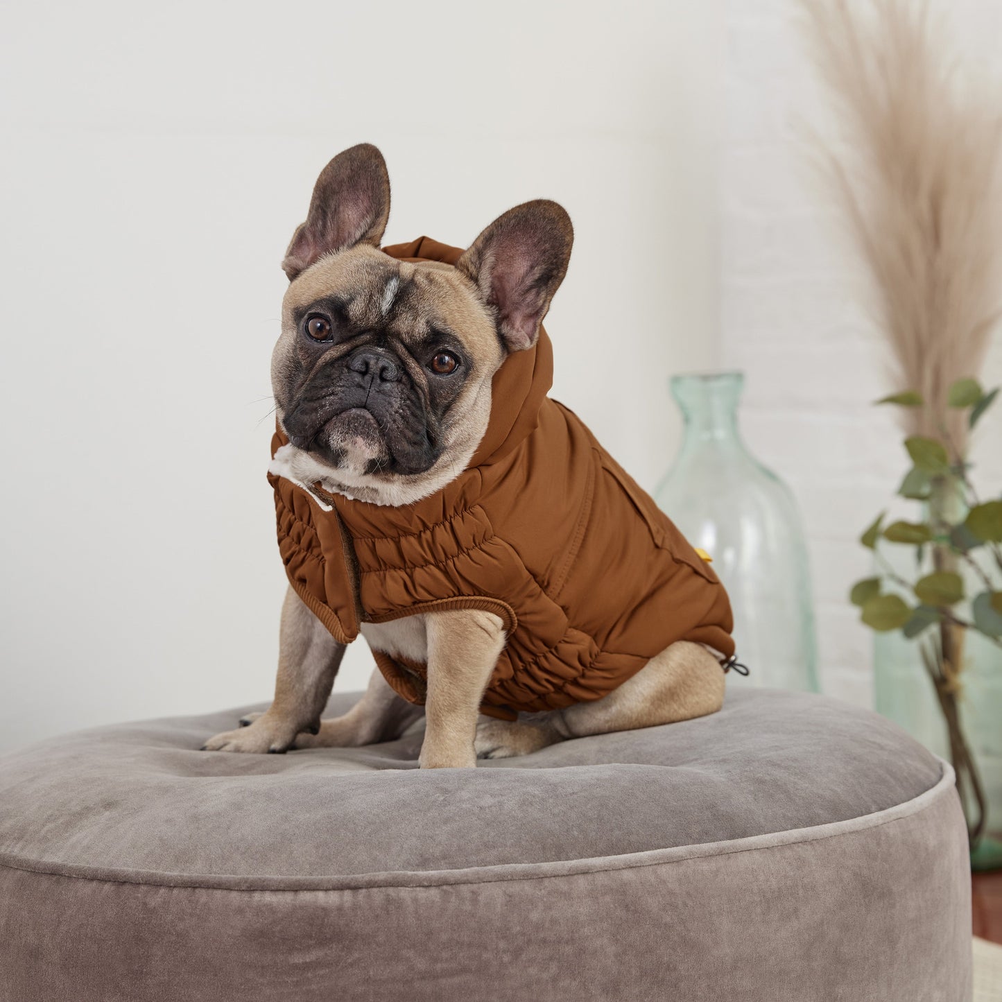 Arctic Dog Parka – Wood | Elasto-FIT Winter Jacket