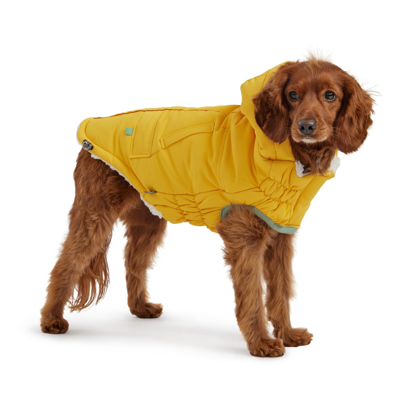 Arctic Dog Parka – Yellow | Elasto-FIT Winter Jacket