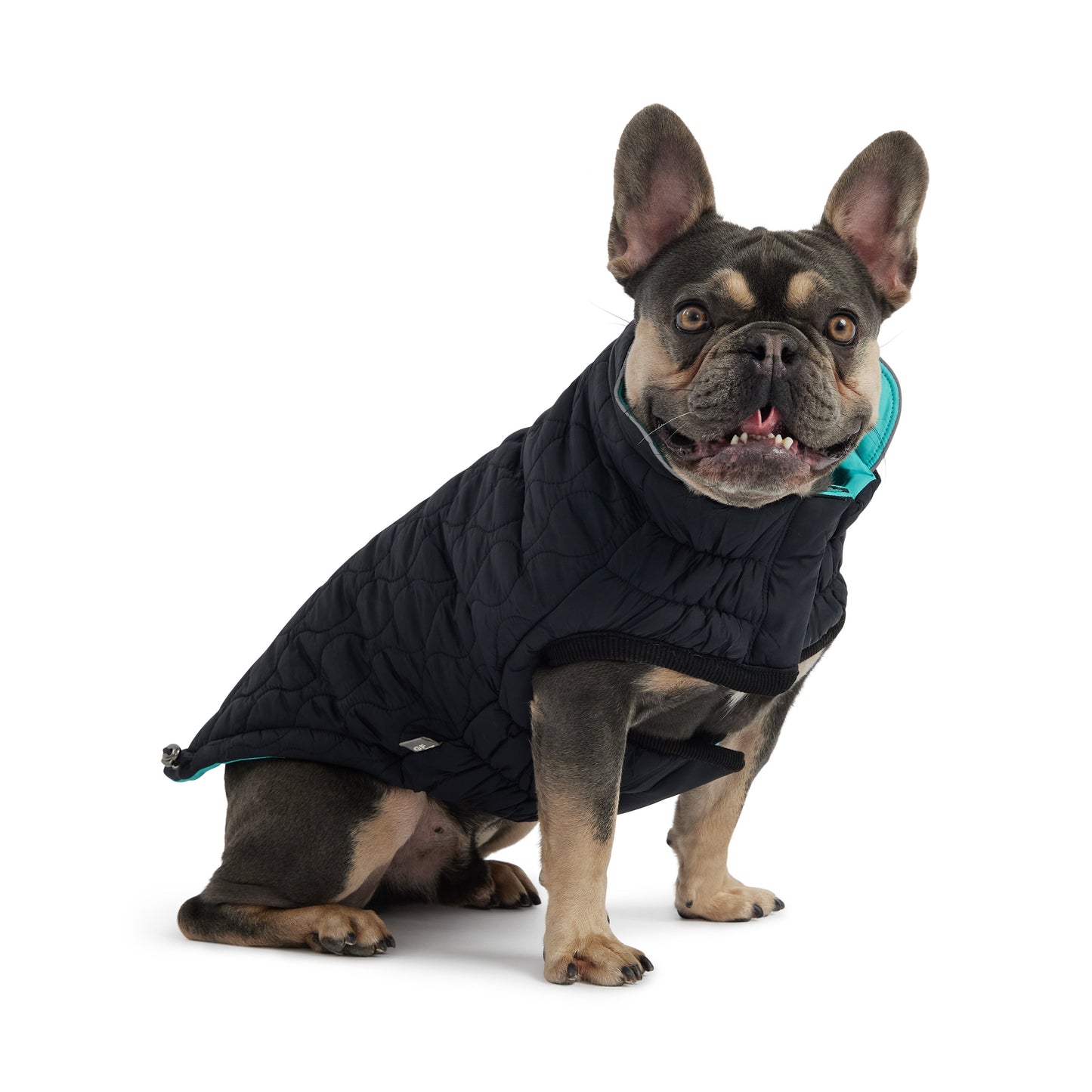 Reversible Chalet Dog Jacket – 2-in-1 Waterproof, Black/Aqua